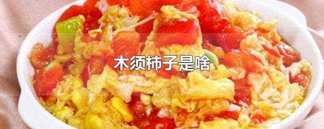 木须柿子是啥 木须柿子是啥