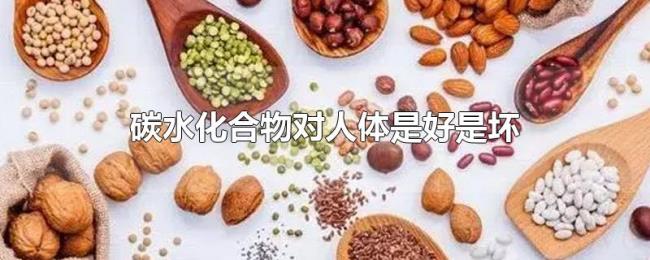 碳水化合物对人体是好是坏 碳水化合物对人体是好是坏