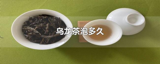 乌龙茶泡多久 乌龙茶泡多久