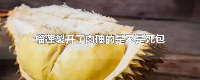 榴莲裂开了肉硬的是不是死包