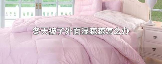 冬天被子外面湿漉漉怎么办 冬天被子外面湿漉漉怎么办