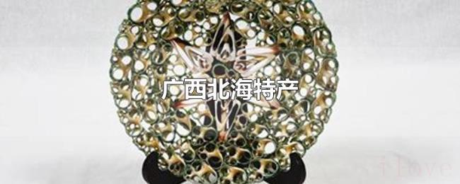 广西北海特产