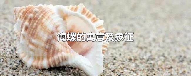 海螺的寓意及象征 海螺的寓意及象征