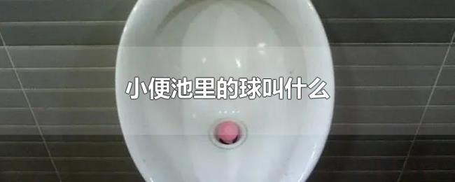 小便池里的球叫什么