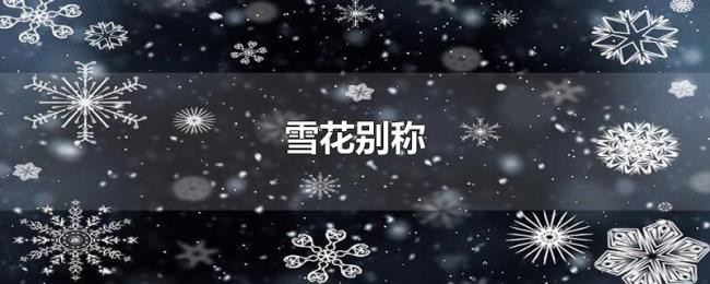雪花别称 雪花别称