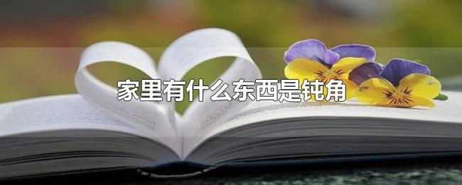 家里有什么东西是钝角