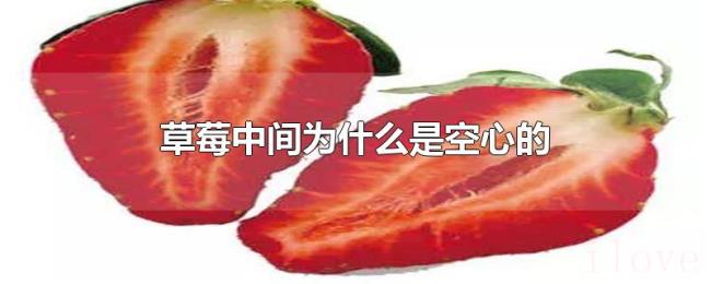 草莓中间为什么是空心的