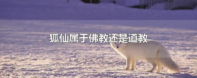 狐仙属于佛教还是道教 狐仙属于佛教还是道教