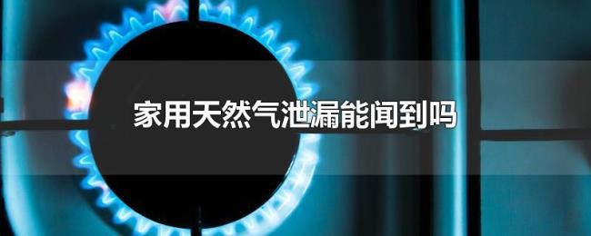 家用天然气泄漏能闻到吗