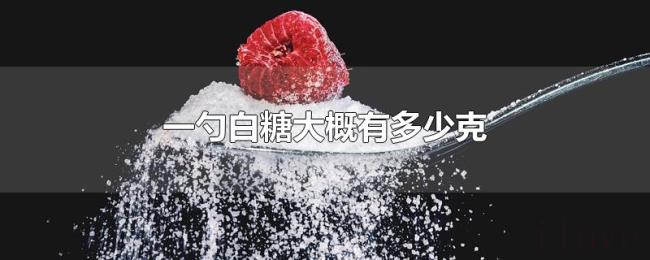 一勺白糖大概有多少克