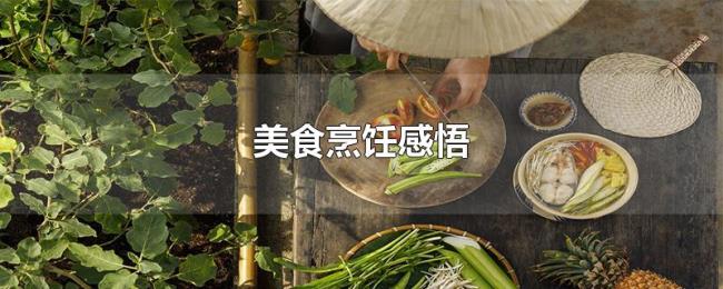 美食烹饪感悟 美食烹饪感悟