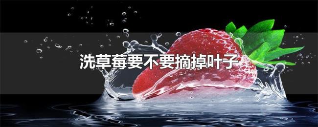 洗草莓要不要摘掉叶子