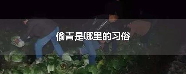 偷青是哪里的习俗 偷青是哪里的习俗