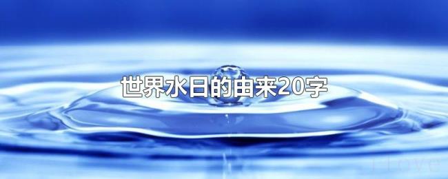 世界水日的由来20字