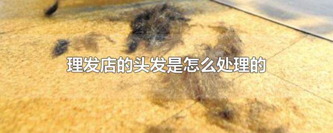 理发店的头发是怎么处理的
