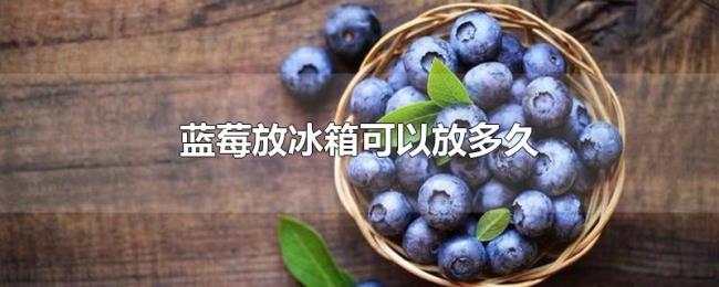 蓝莓放冰箱可以放多久