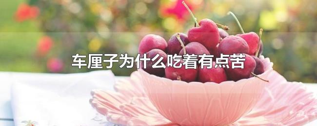 车厘子为什么吃着有点苦