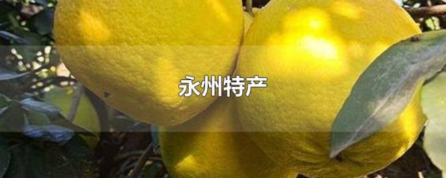 永州特产