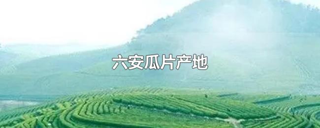 六安瓜片产地 六安瓜片产地