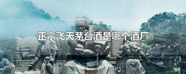 正宗飞天茅台酒是哪个酒厂