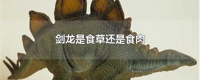 剑龙是食草还是食肉 剑龙是食草还是食肉