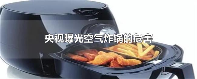 央视曝光空气炸锅的危害