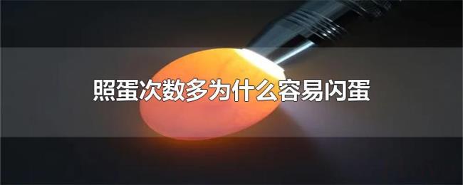 照蛋次数多为什么容易闪蛋