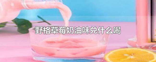 野格草莓奶油味兑什么喝 野格草莓奶油味兑什么喝