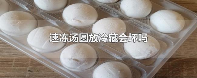 速冻汤圆放冷藏会坏吗 速冻汤圆放冷藏会坏吗