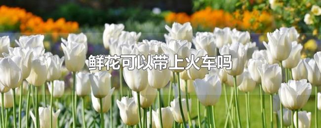 鲜花可以带上火车吗