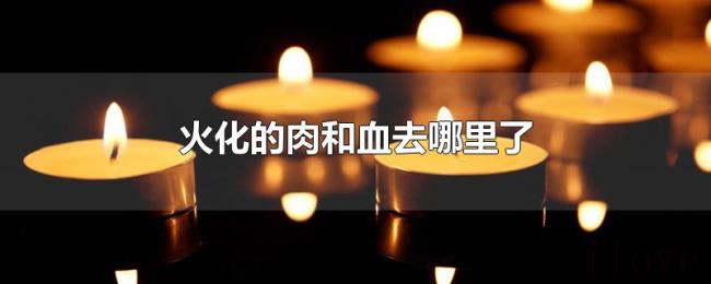 火化的肉和血去哪里了