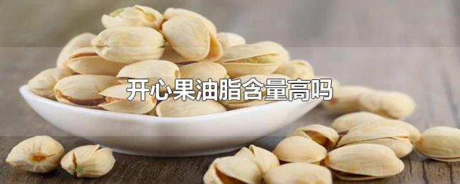 开心果油脂含量高吗