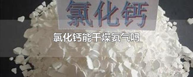 氯化钙能干燥氨气吗