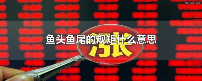 鱼头鱼尾的规矩什么意思 鱼头鱼尾的规矩什么意思