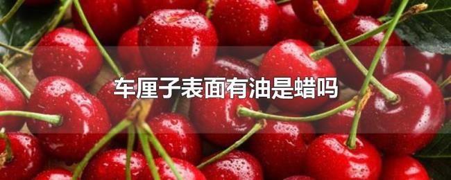车厘子表面有油是蜡吗 车厘子表面有油是蜡吗
