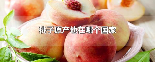 桃子原产地在哪个国家
