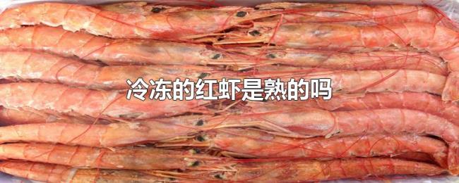 冷冻的红虾是熟的吗 冷冻的红虾是熟的吗