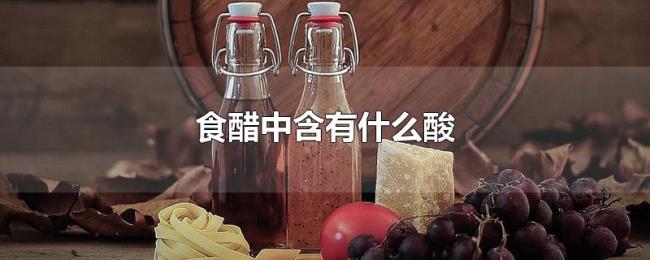 食醋中含有什么酸 食醋中含有什么酸