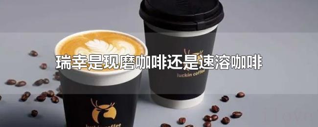 瑞幸是现磨咖啡还是速溶咖啡 瑞幸是现磨咖啡还是速溶咖啡