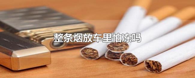 整条烟放车里怕冻吗 整条烟放车里怕冻吗