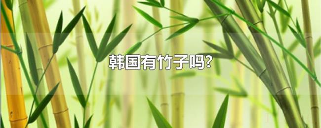 韩国有竹子吗? 韩国有竹子吗?