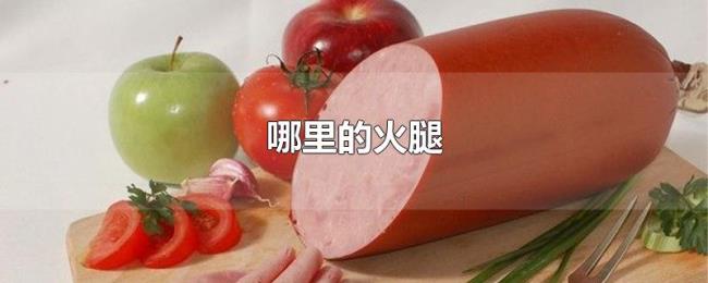 哪里的火腿