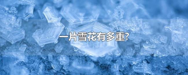 一片雪花有多重? 一片雪花有多重?