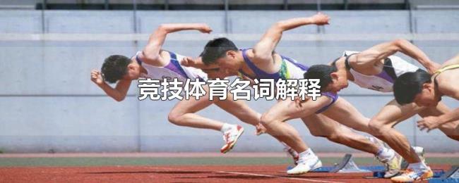 竞技体育名词解释