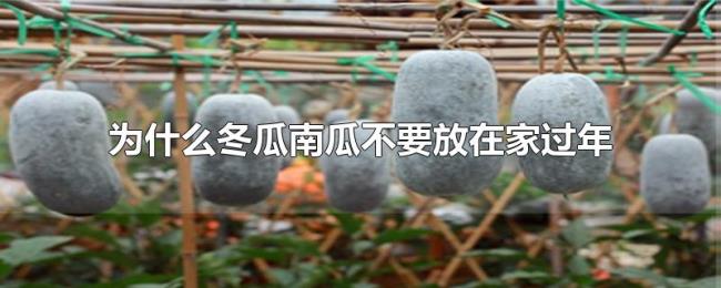 为什么冬瓜南瓜不要放在家过年