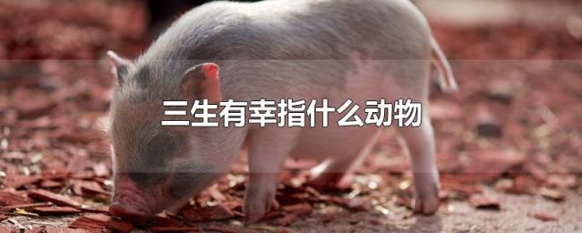 三生有幸指什么动物 三生有幸指什么动物