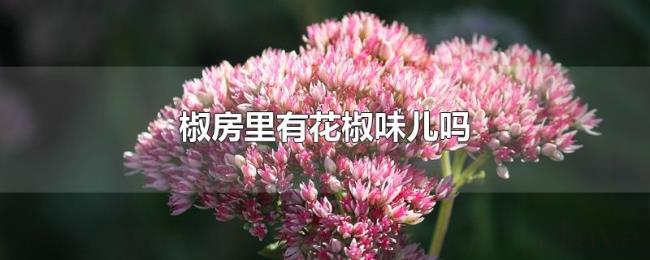 椒房里有花椒味儿吗