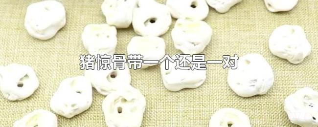猪惊骨带一个还是一对 猪惊骨带一个还是一对