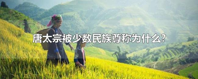 唐太宗被少数民族尊称为什么?