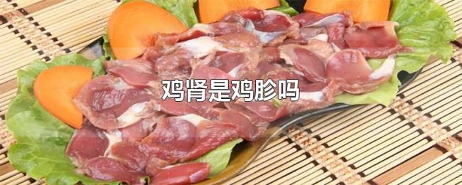 鸡肾是鸡胗吗 鸡肾是鸡胗吗